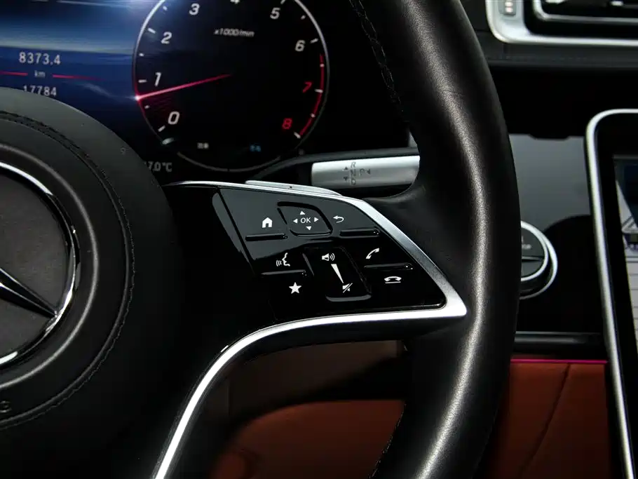 Mercedes-Benz S-Class 2023 Facelift S 400 L Luxury фото 29