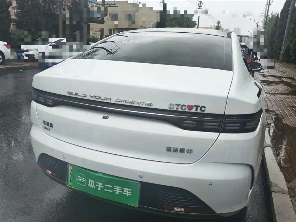 BYD Destroyer 05 2024 Glory Edition DM-i 55KM Luxury фото 4