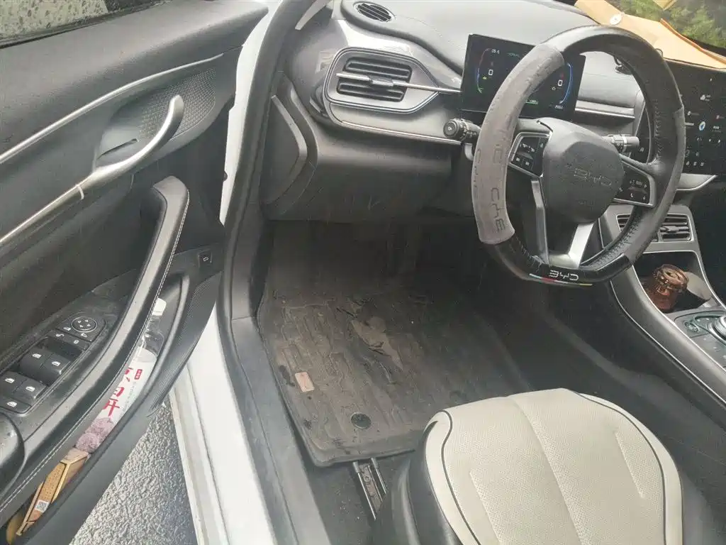 BYD Destroyer 05 2024 Glory Edition DM-i 55KM Luxury фото 13
