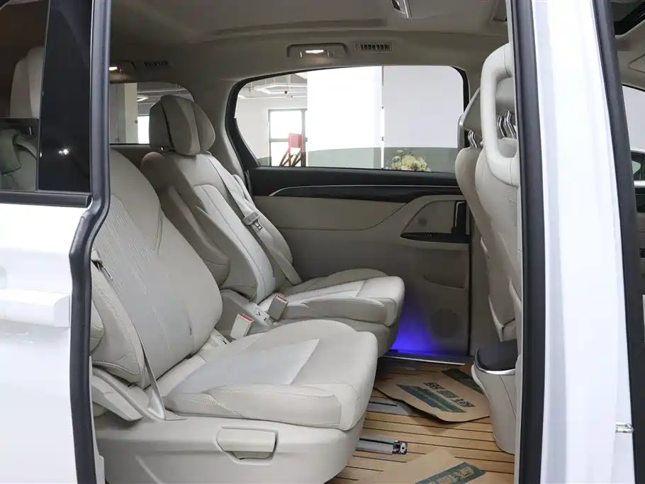 Buick GL8 2022 ES Landmark 653T Comfort фото 16