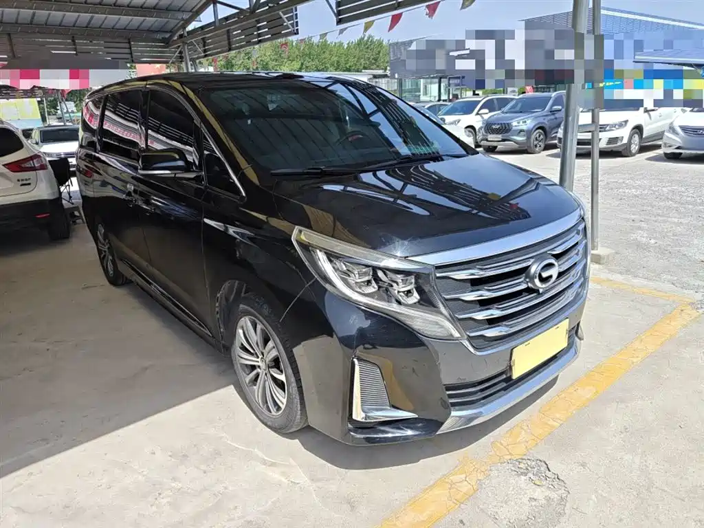 GAC Trumpchi Trumpchi M8 2020 Pilot 390T Prestige Edition фото 5