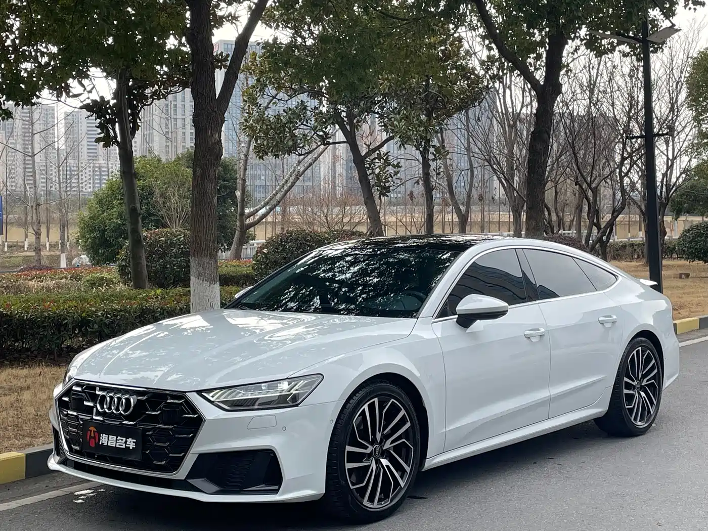 Audi A7 2024 45 TFSI Premium Selection