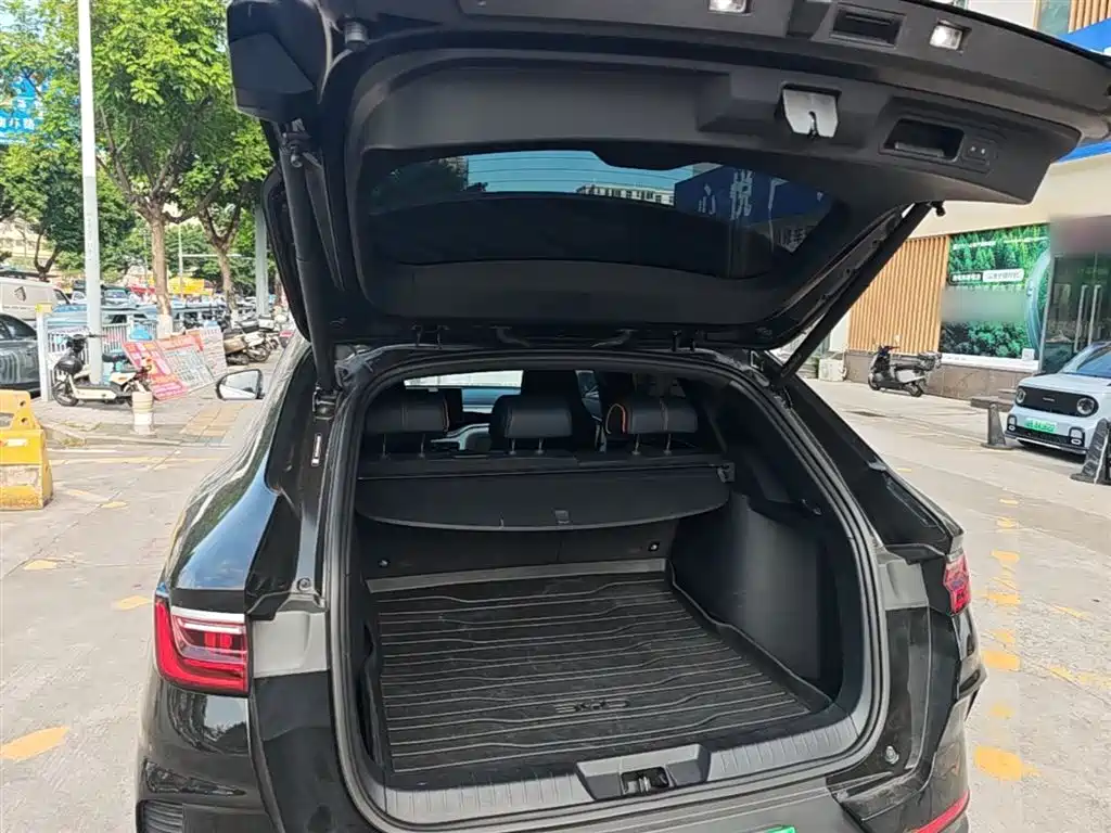 BYD Song PLUS PHEV 2021 DM-i 110KM Flagship PLUS фото 19