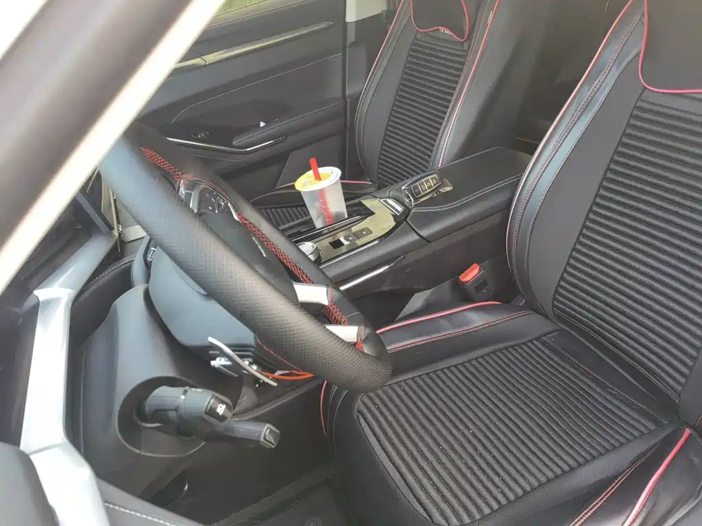 Haval H6 2025 2024 Model 1.5T 2WD Classic Edition