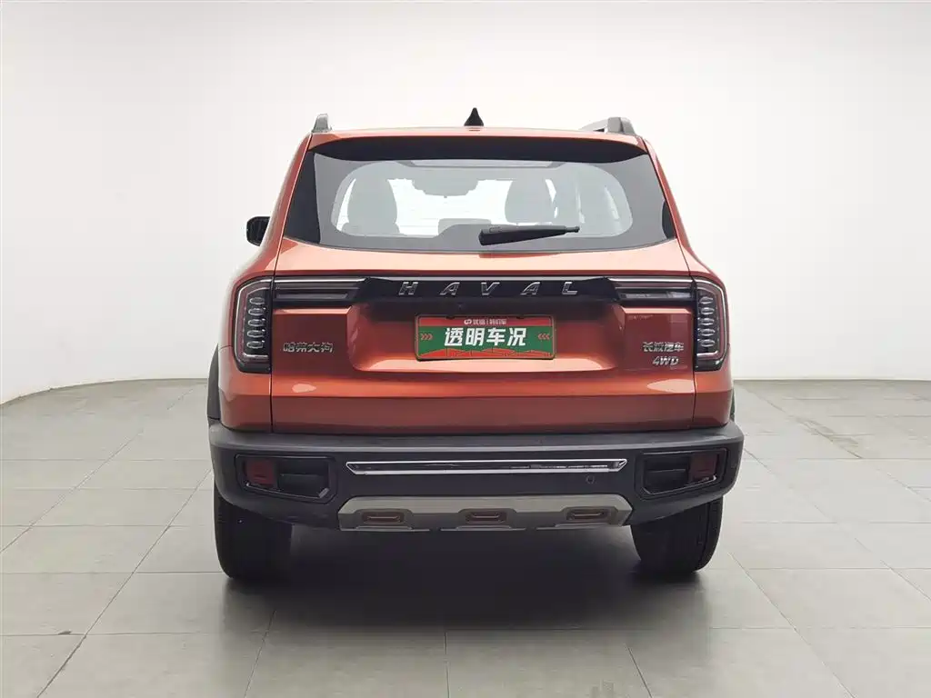 Haval Big Dog 2021 2.0T DCT 4WD Chinese Rural Dog Edition фото 4
