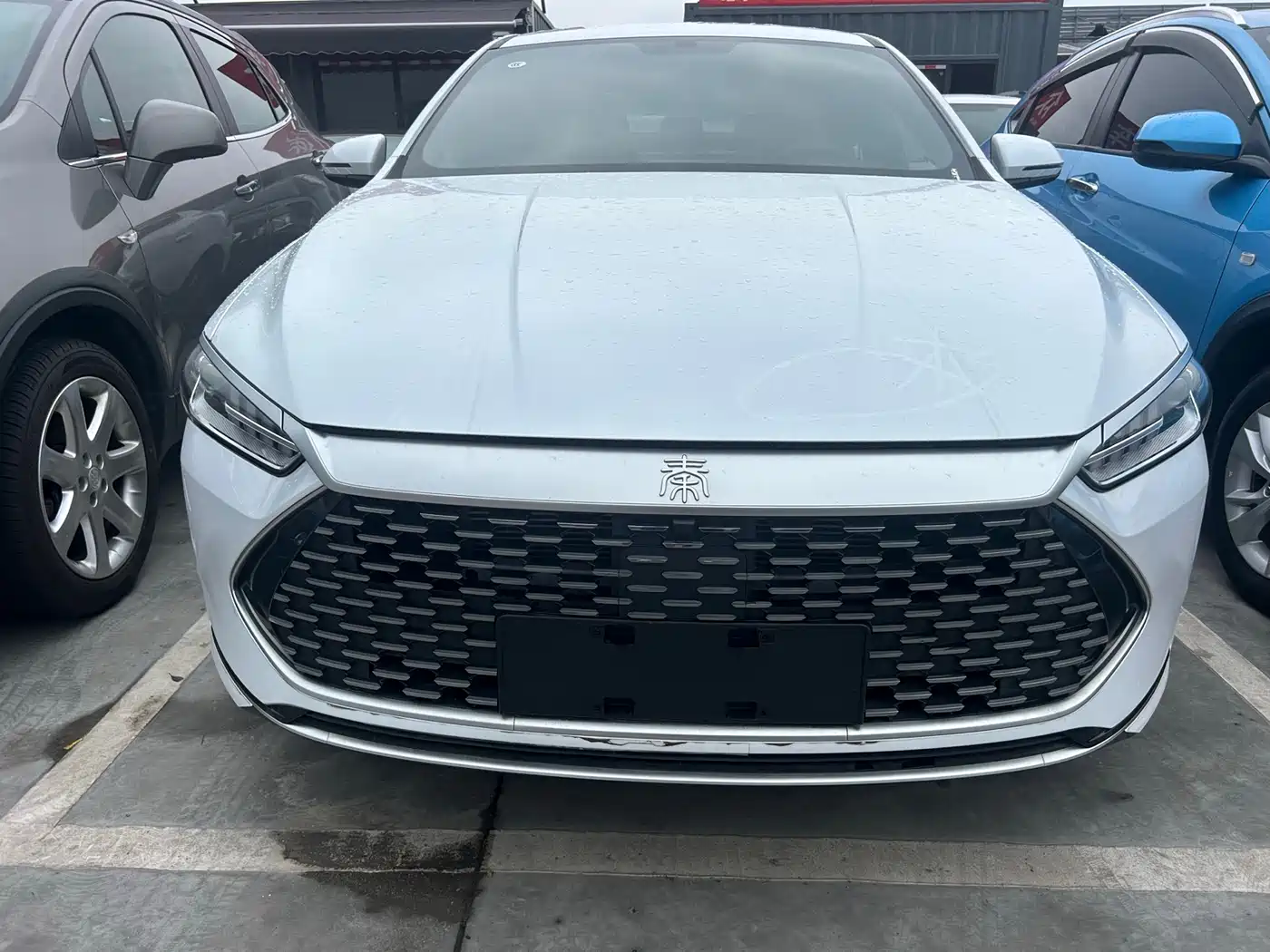 BYD Qin PLUS 2024 Glory Edition DM-i 55KM Leading фото 2