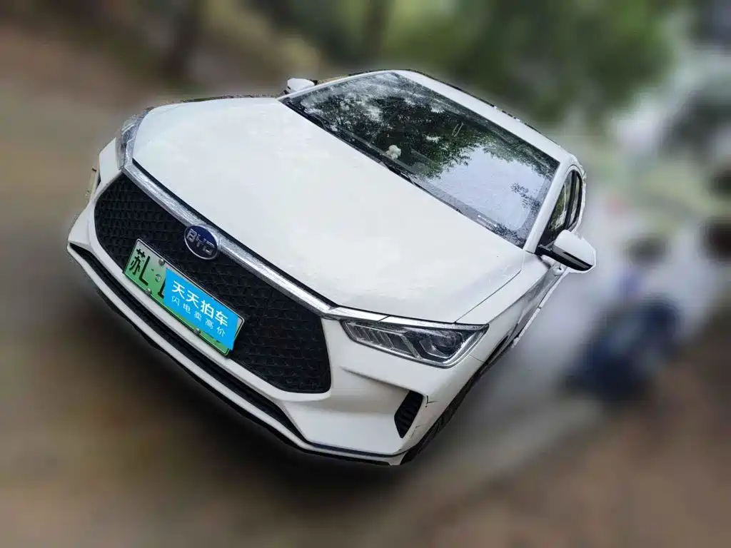 Фото 1 - BYD e2