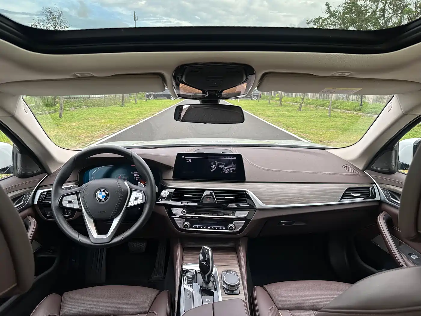 BMW 5 Series 2020 530Li Premium Luxury Package фото 9