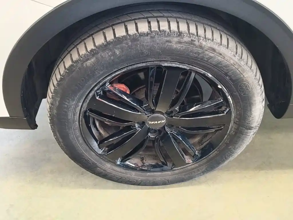 Фото 23 - Haval H6