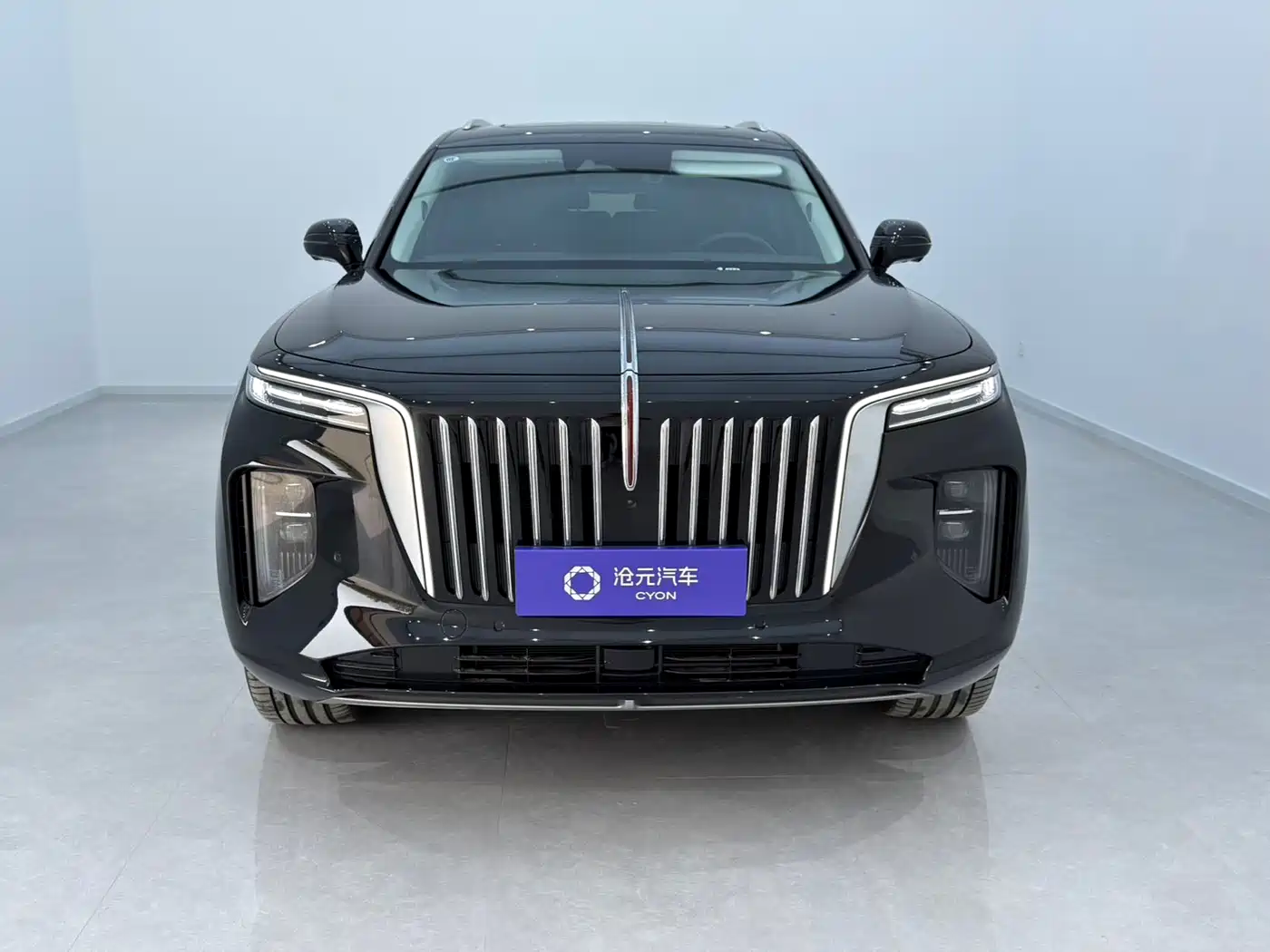 Hongqi E-HS9 2022 660km Qi Chang Edition (6-seater) фото 2
