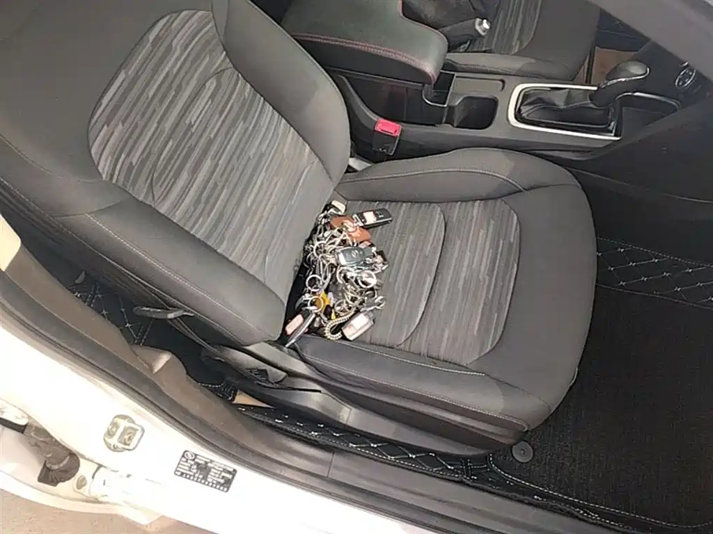 Chevrolet Cavalier 2018 320 Auto Enjoy Sunroof Edition фото 25