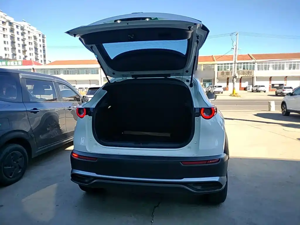 Mazda CX-30 EV 2023 2021 Pure Electric Enjoyment Edition