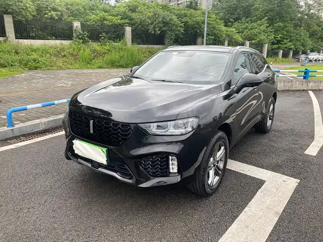  WEY Wey VV5 2019 2.0T 2WD Final Edition