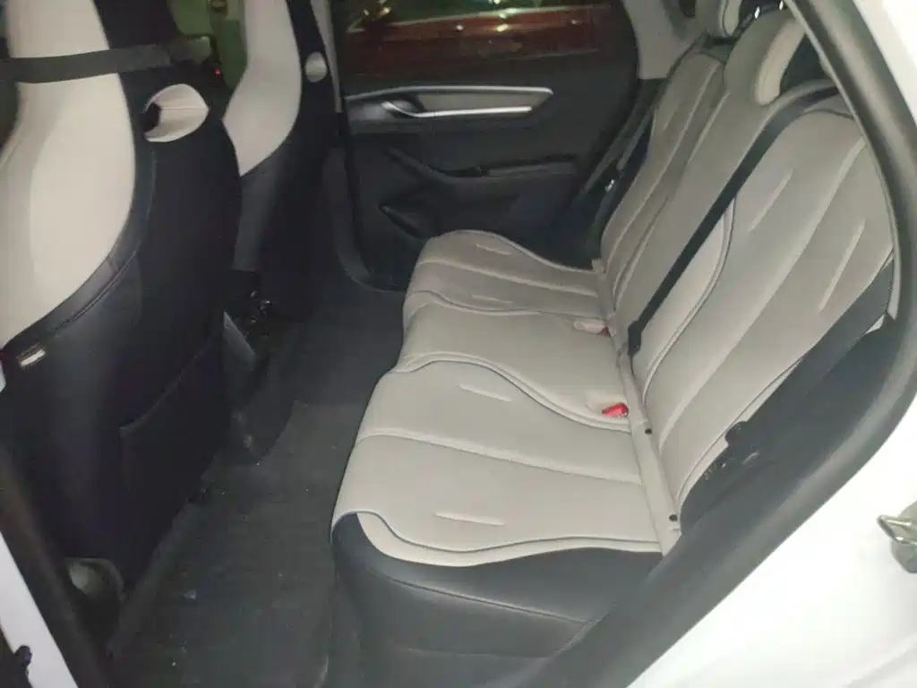 BYD Destroyer 05 2025 2024 Glory Edition DM-i 55KM Luxury