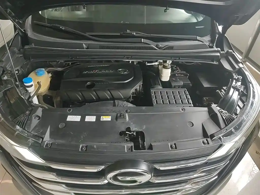 GAC Trumpchi Trumpchi M6 2019 270T Automatic Prestige (6-seater) China V фото 20