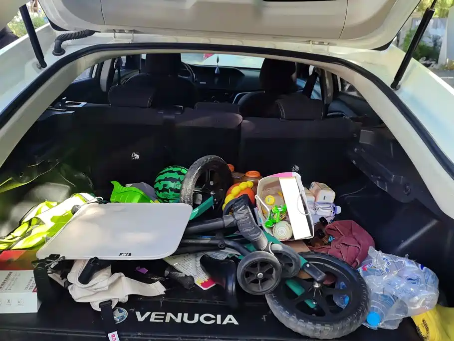 2018 Venucia T90