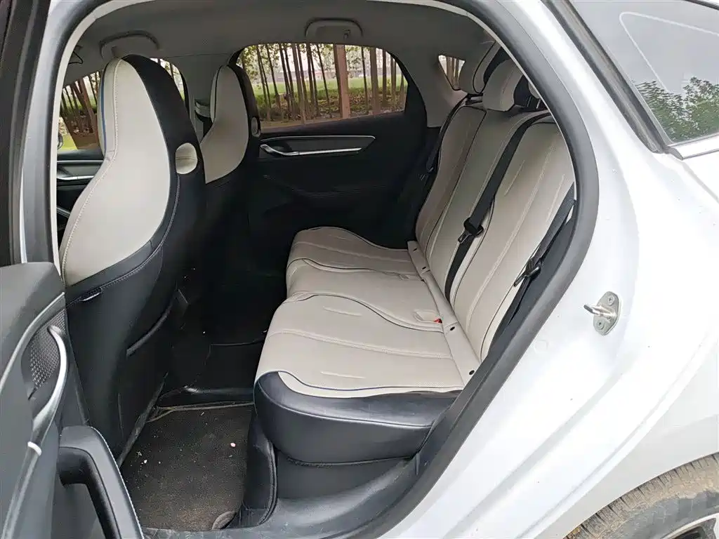BYD Destroyer 05 2024 Glory Edition DM-i 55KM Luxury фото 13