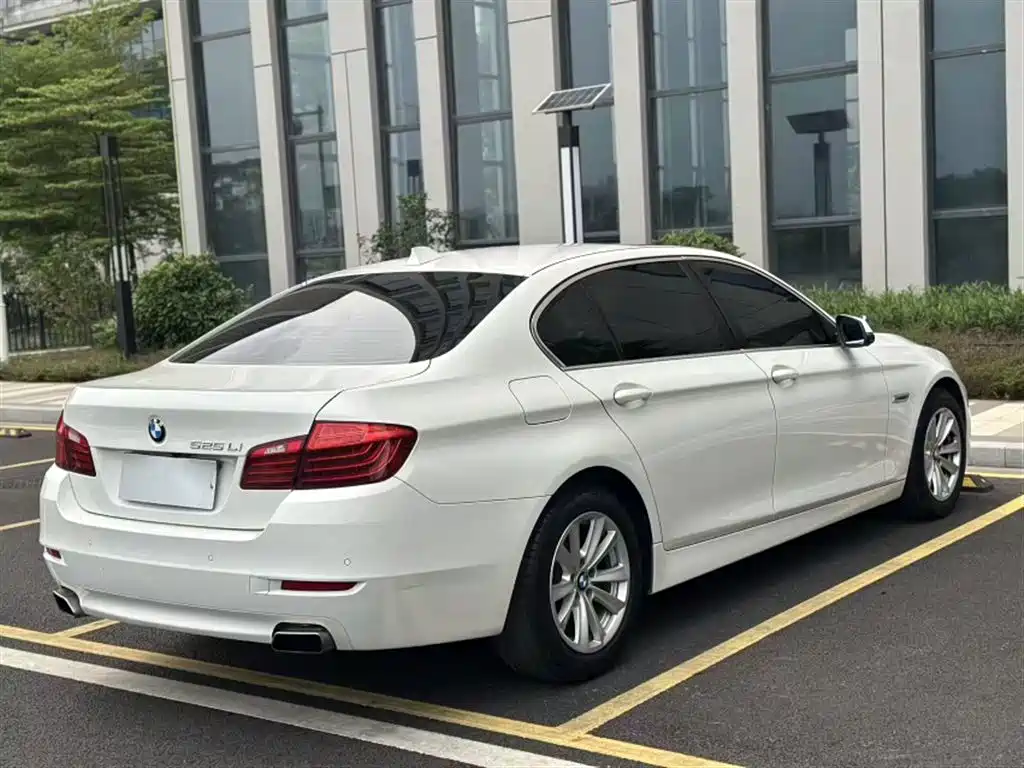BMW 5 Series 2014 520Li Elegance фото 23