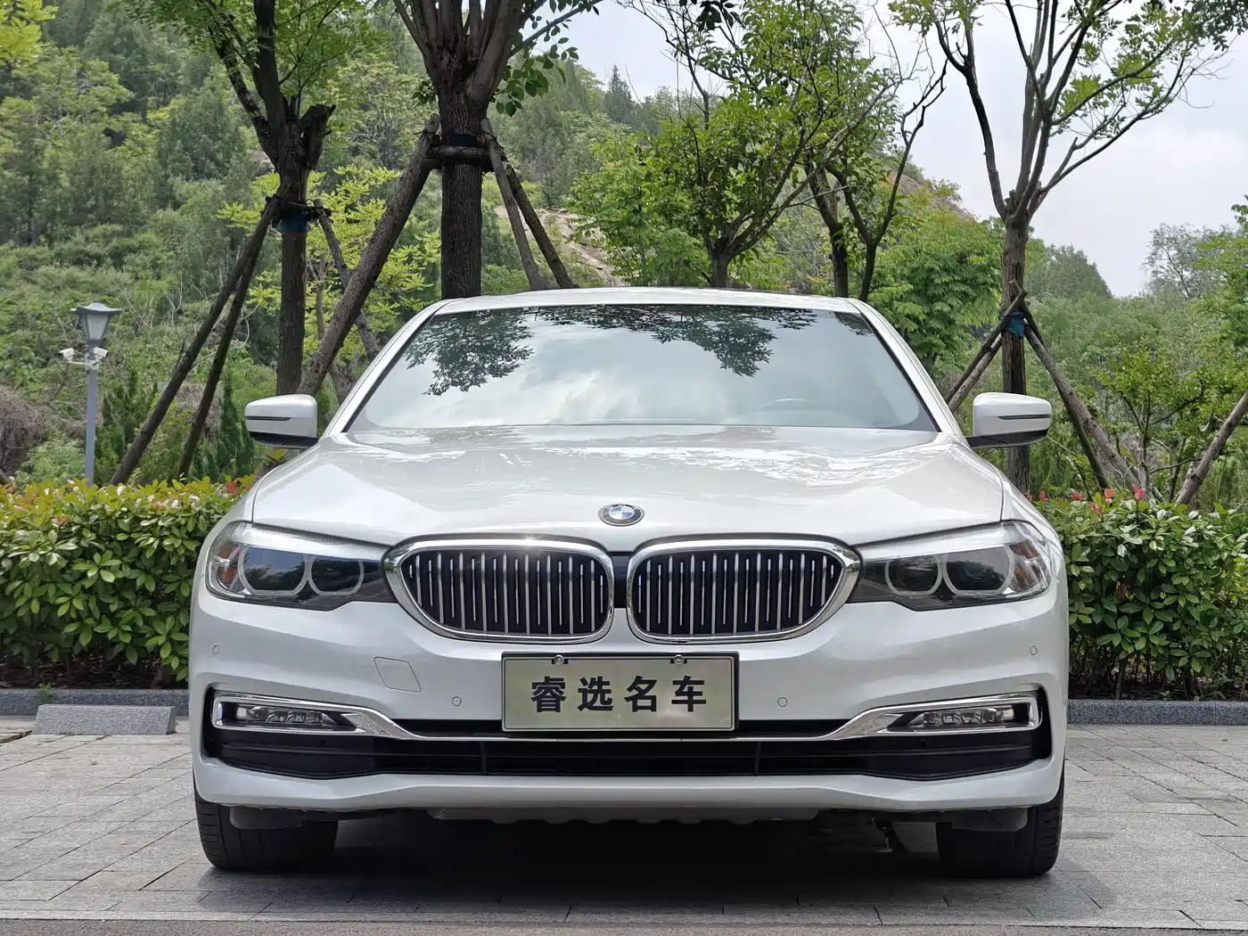 BMW 5 Series 2018 Facelift 530Li xDrive Luxury Package фото 3