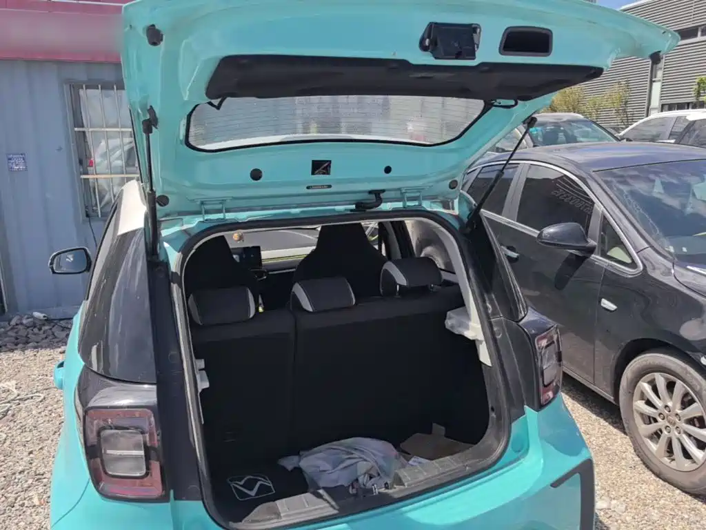 Sehol Flower Fairy 2021 2021 302km Luxury 30.2kWh