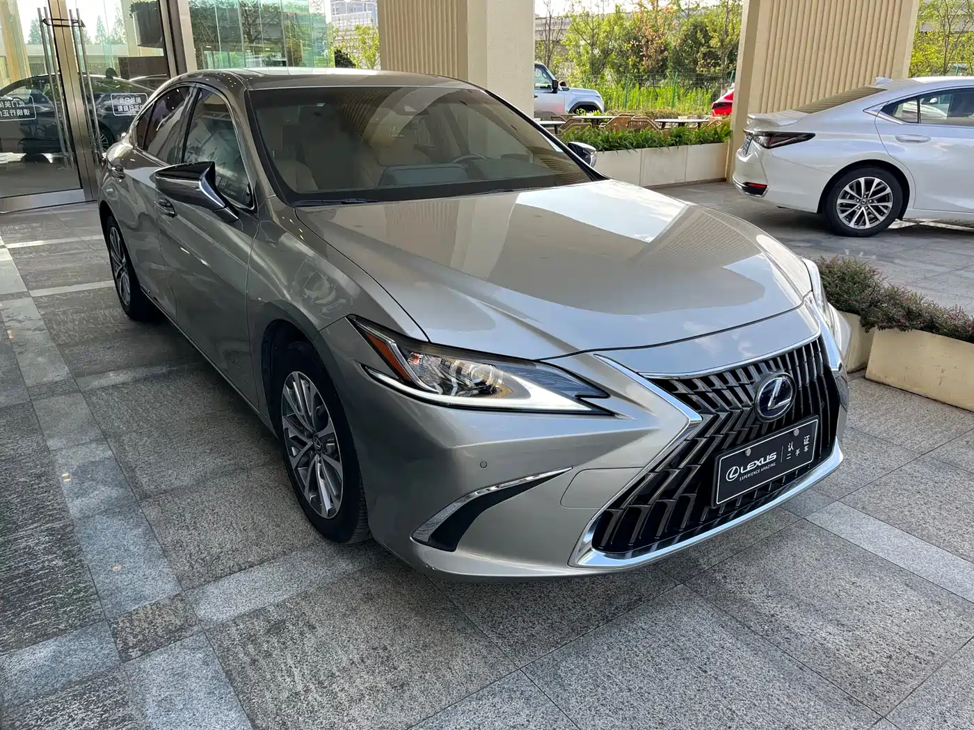 Lexus ES 2021 300h Excellence Edition фото 3
