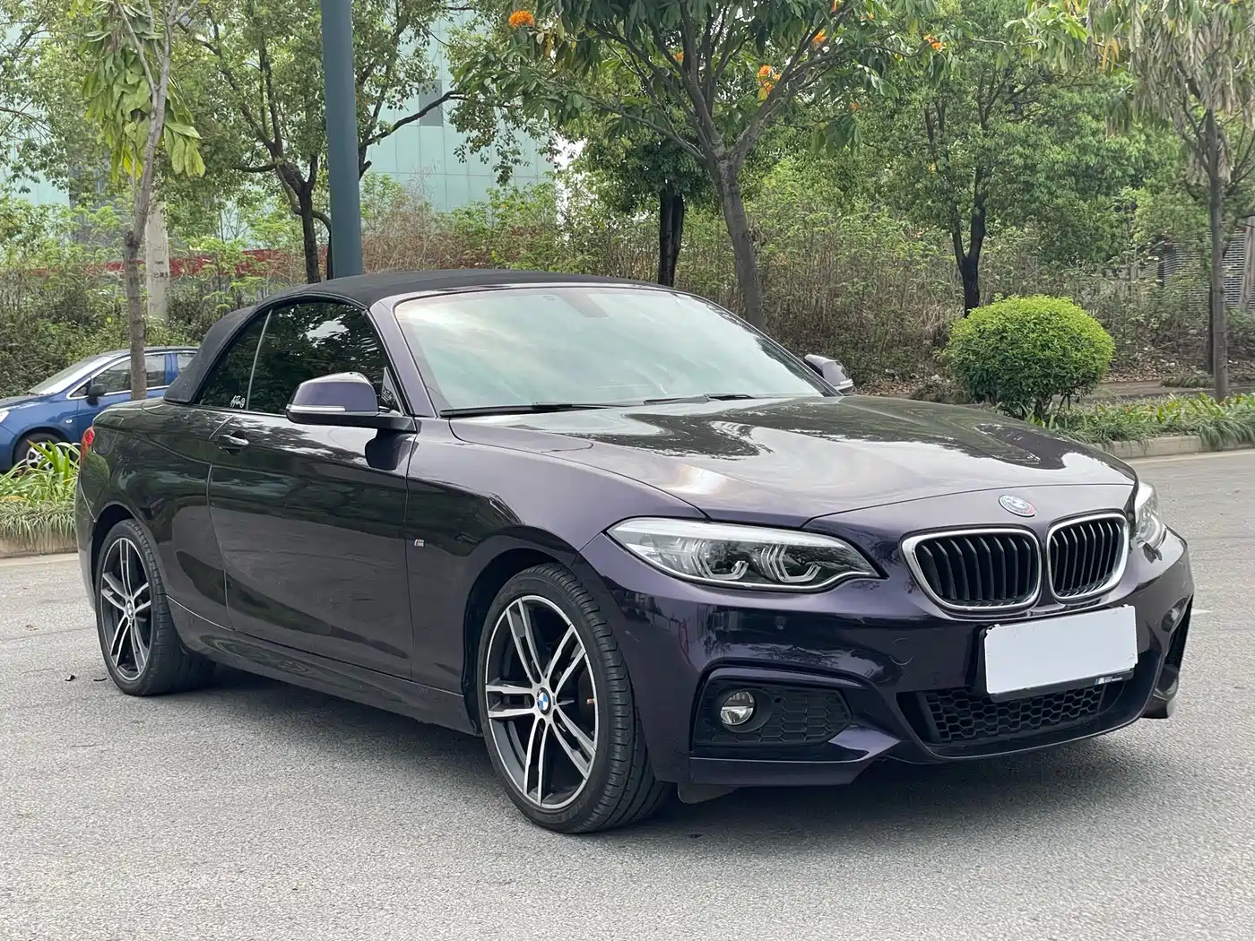 BMW 2 Series (Import) 2019 225i Convertible Coupe Exclusive M Sport Package фото 16