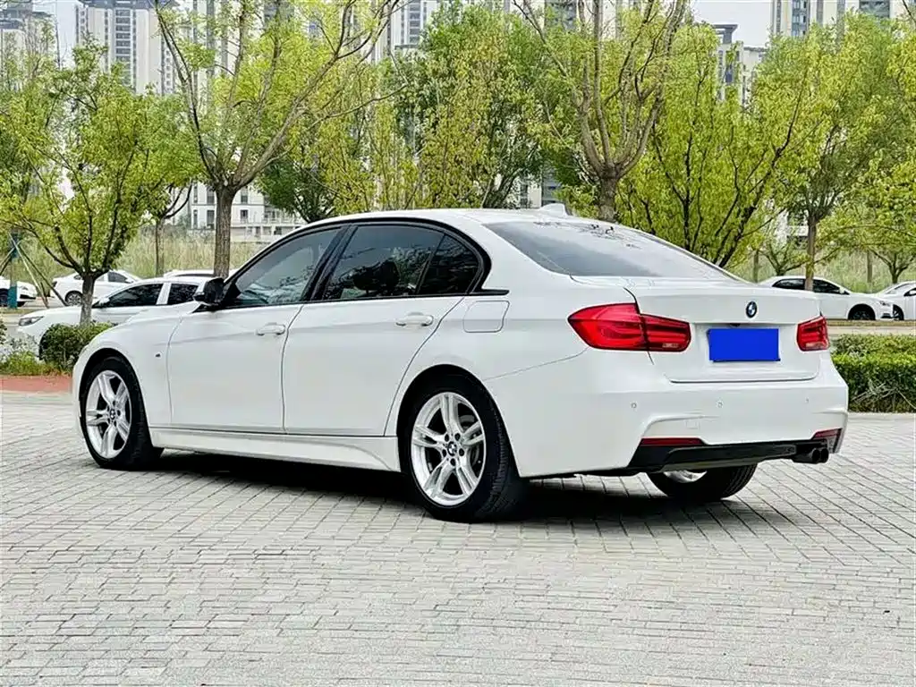 BMW 3 Series 2017 320Li Fashion фото 7