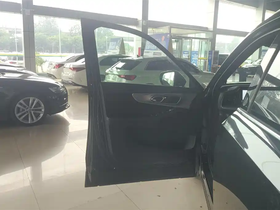 GAC Trumpchi Trumpchi GS8 2024 Navigator Series 2.0TGDI 2WD Luxury Smart Connect Edition фото 7