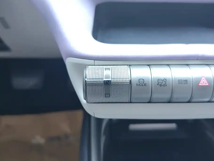 BYD Dolphin 2021 Model 405km Fashion Edition фото 16