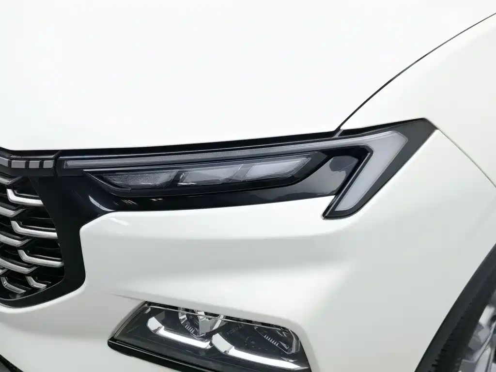 Ford Lingrui 2022 2022 EcoBoost 170 Platinum