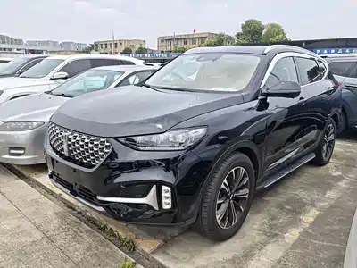 Wey VV6