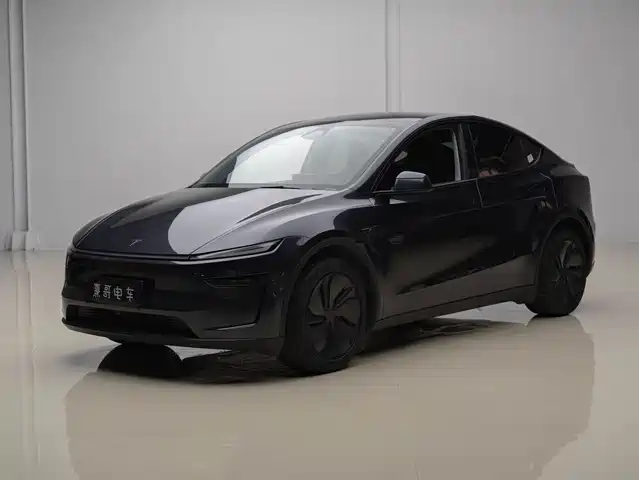 Tesla Model Y Увеличенный запас хода, полный привод