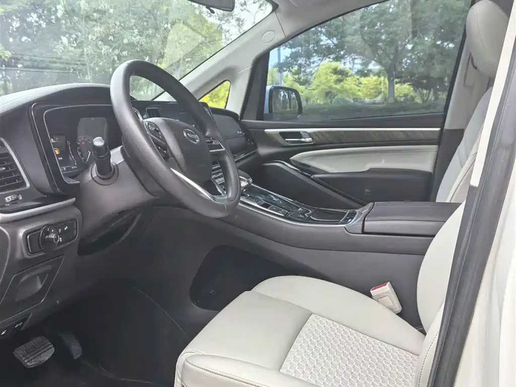 GAC Trumpchi Trumpchi M8 2021 Leading Show Series 390T Luxury Edition фото 7