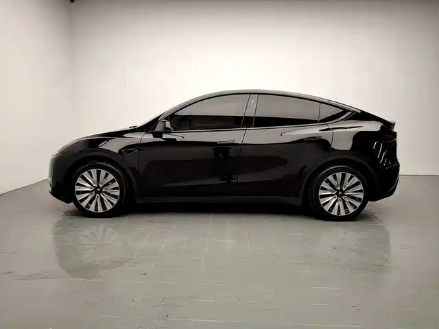 Tesla Model Y 2021 2021 Long Range All-Wheel Drive 3D7