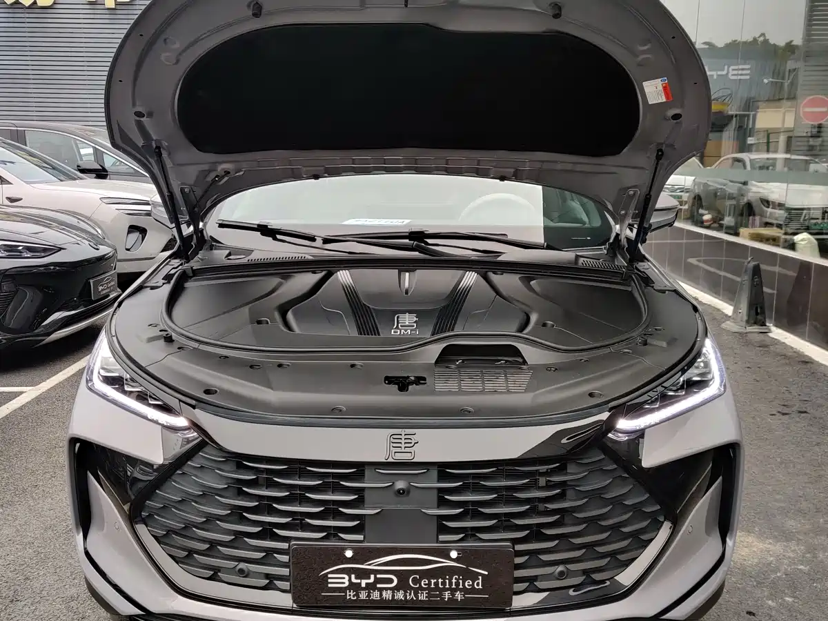 BYD Tang New Energy 2025 Smart Driving Edition DM-i 115KM Flagship фото 6