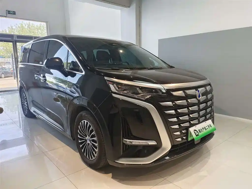 Denza D9 2025 2024 DM-i 980 AWD Premium
