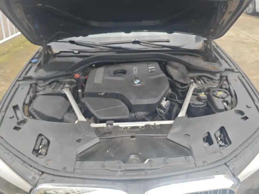 BMW 5 Series 2018 Facelift 530Li Leading Luxury Package фото 10