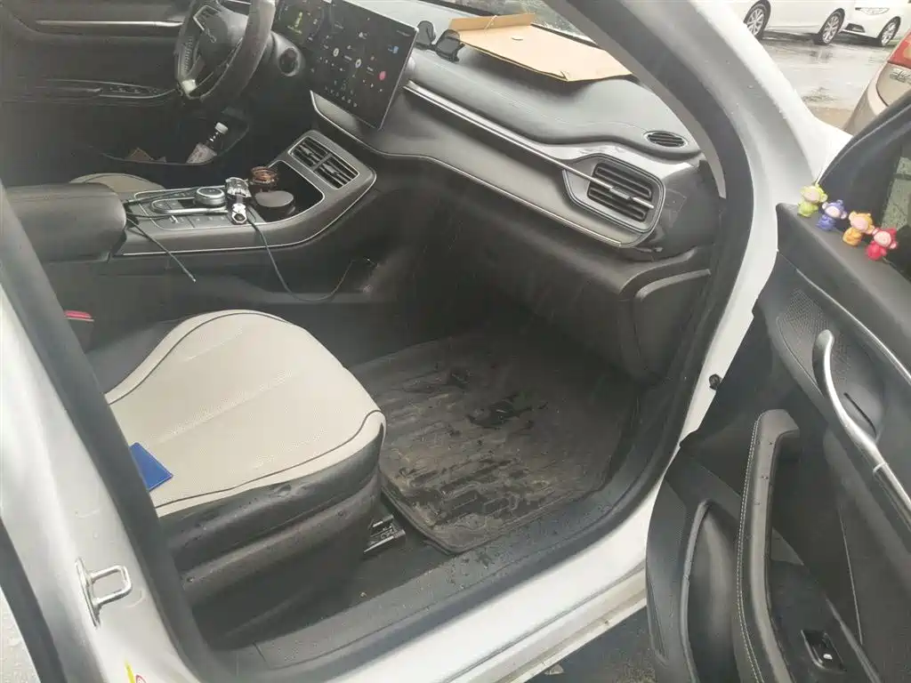 BYD Destroyer 05 2024 Glory Edition DM-i 55KM Luxury фото 22