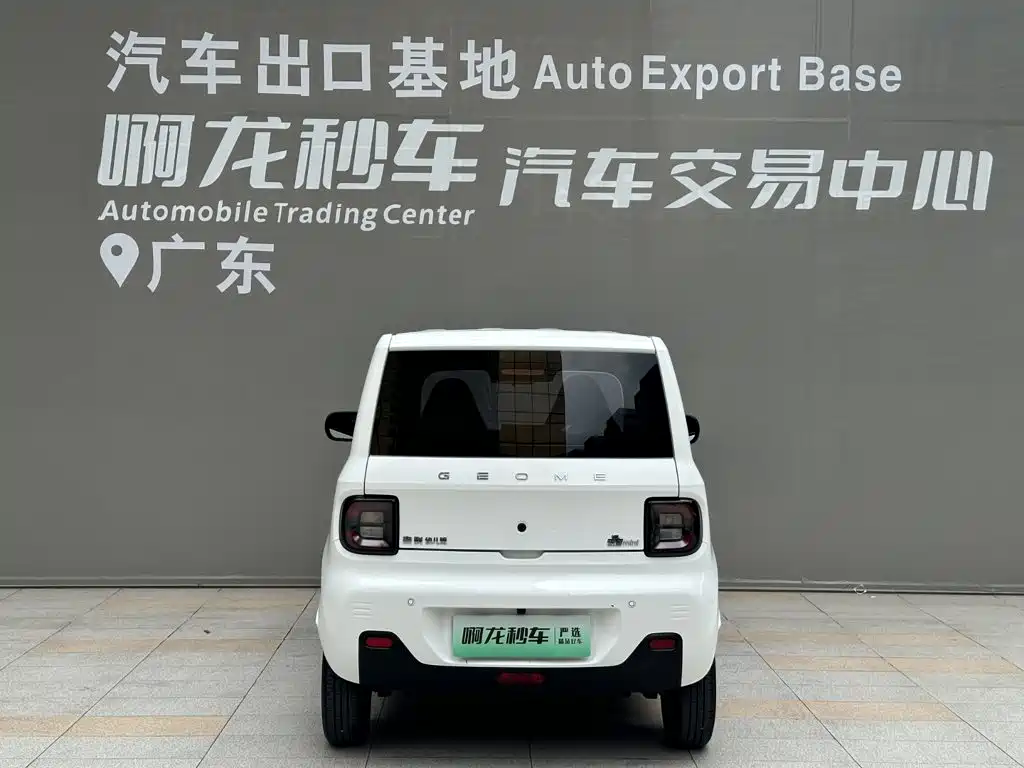 Geely Galaxy Panda 2023 2023 Panda Mini 200km Endurance Bear