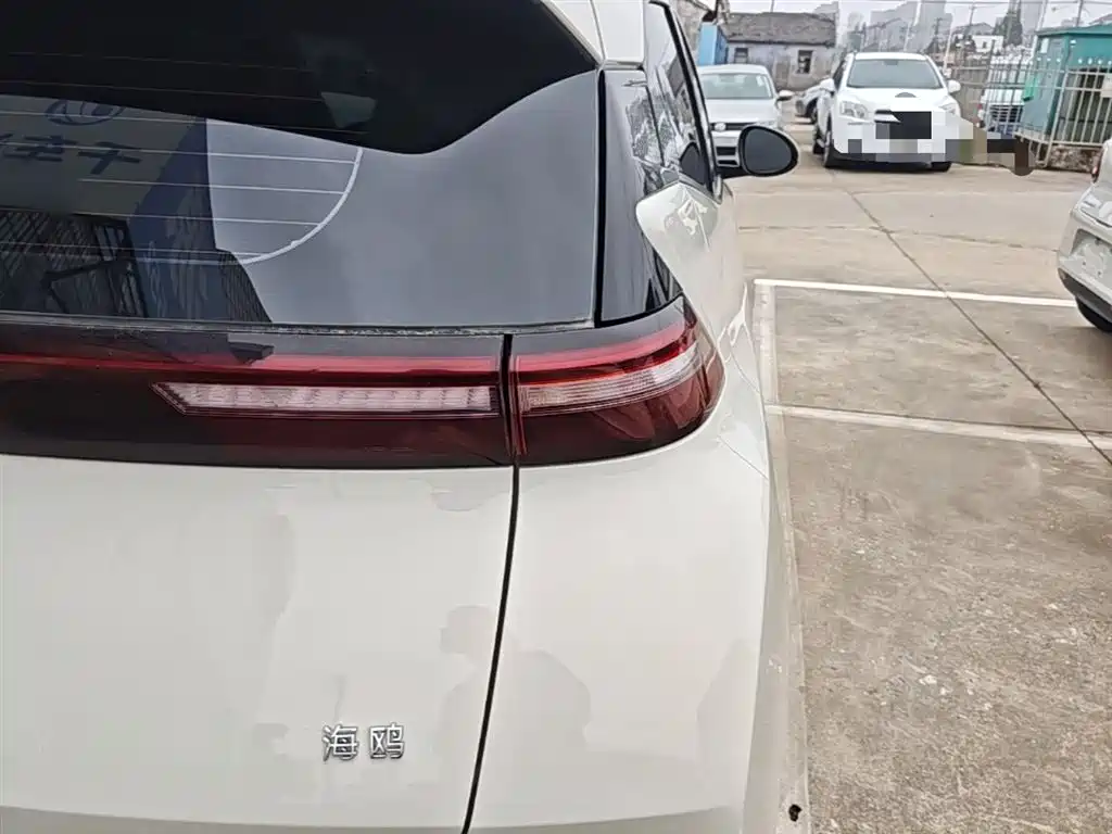 BYD Seagull 2025 305km Vitality фото 8