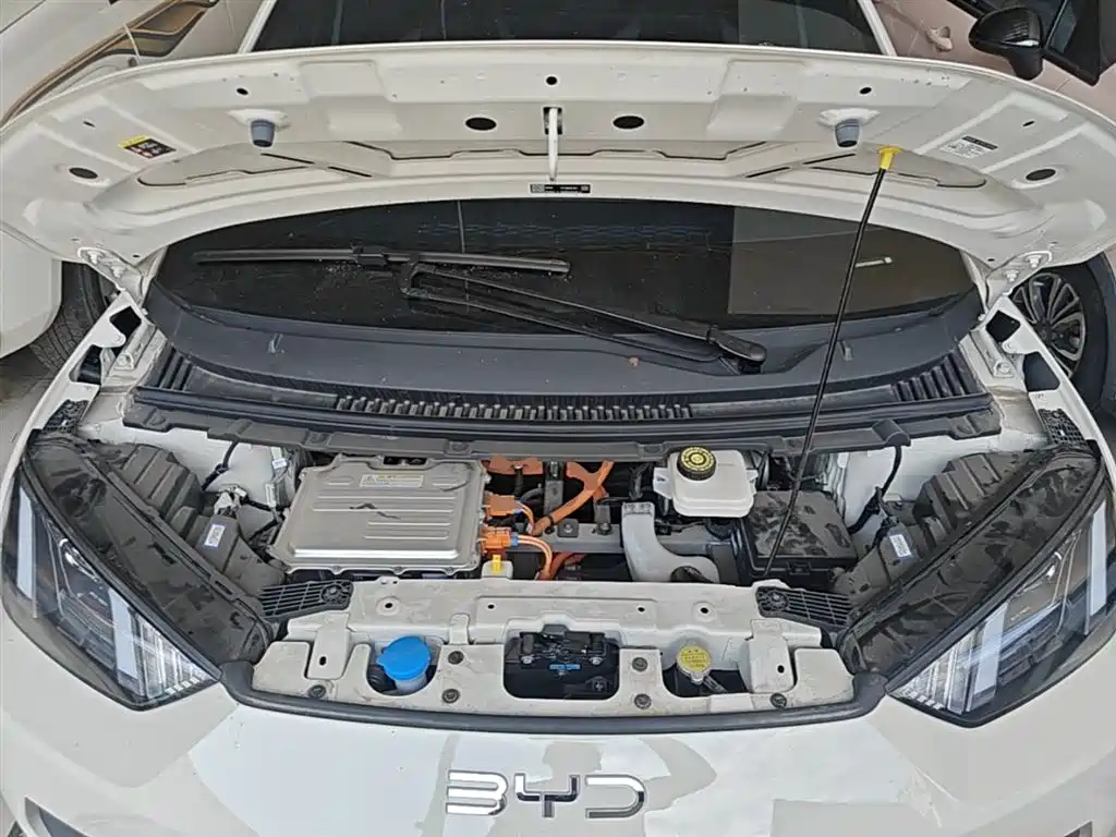 BYD Seagull 2025 Smart Drive Edition 305km Vitality Version фото 20
