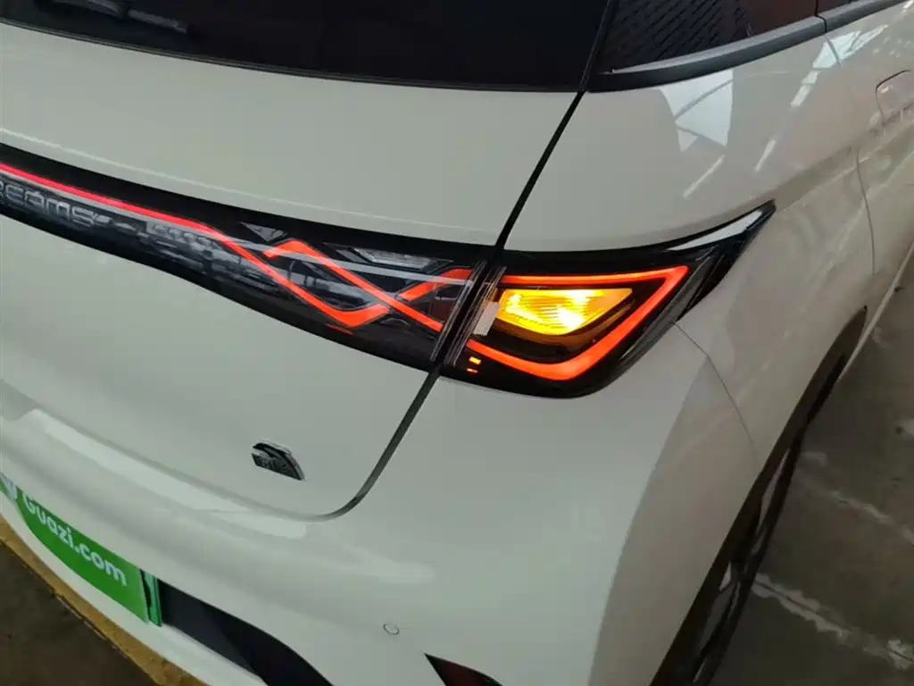 BYD Dolphin 2023 420km Fashion Edition фото 24