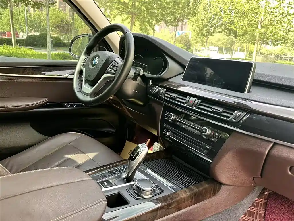 BMW X5 (Import) 2017 xDrive35i Elegance фото 8