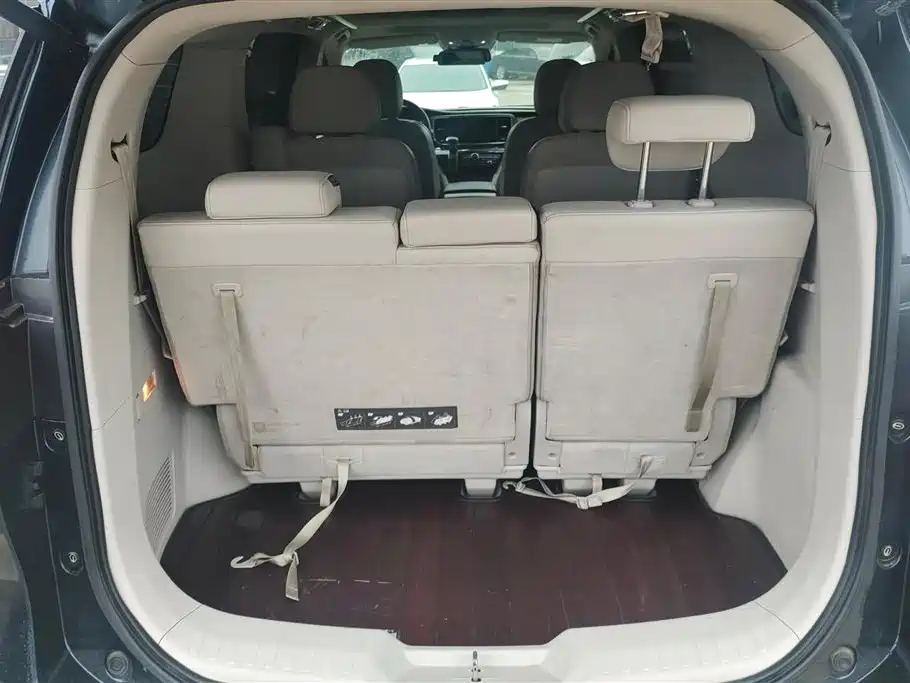 GAC Trumpchi Trumpchi M8 2018 320T Premium Edition фото 4