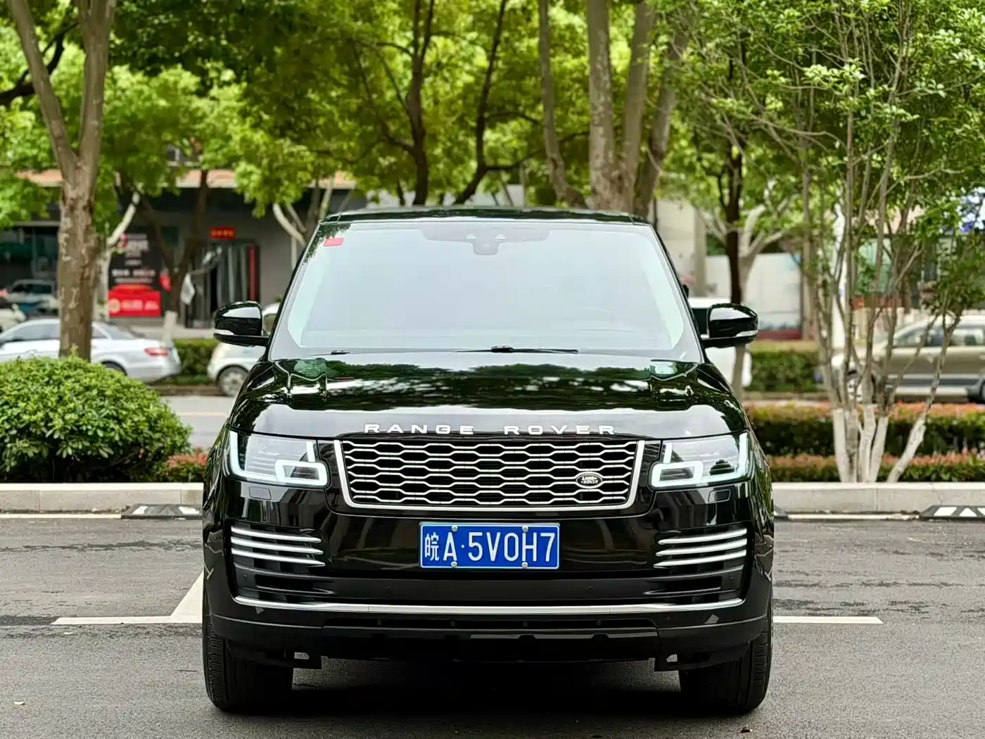 Land Rover Range Rover 2017 3.0 SC V6 Vogue фото 2