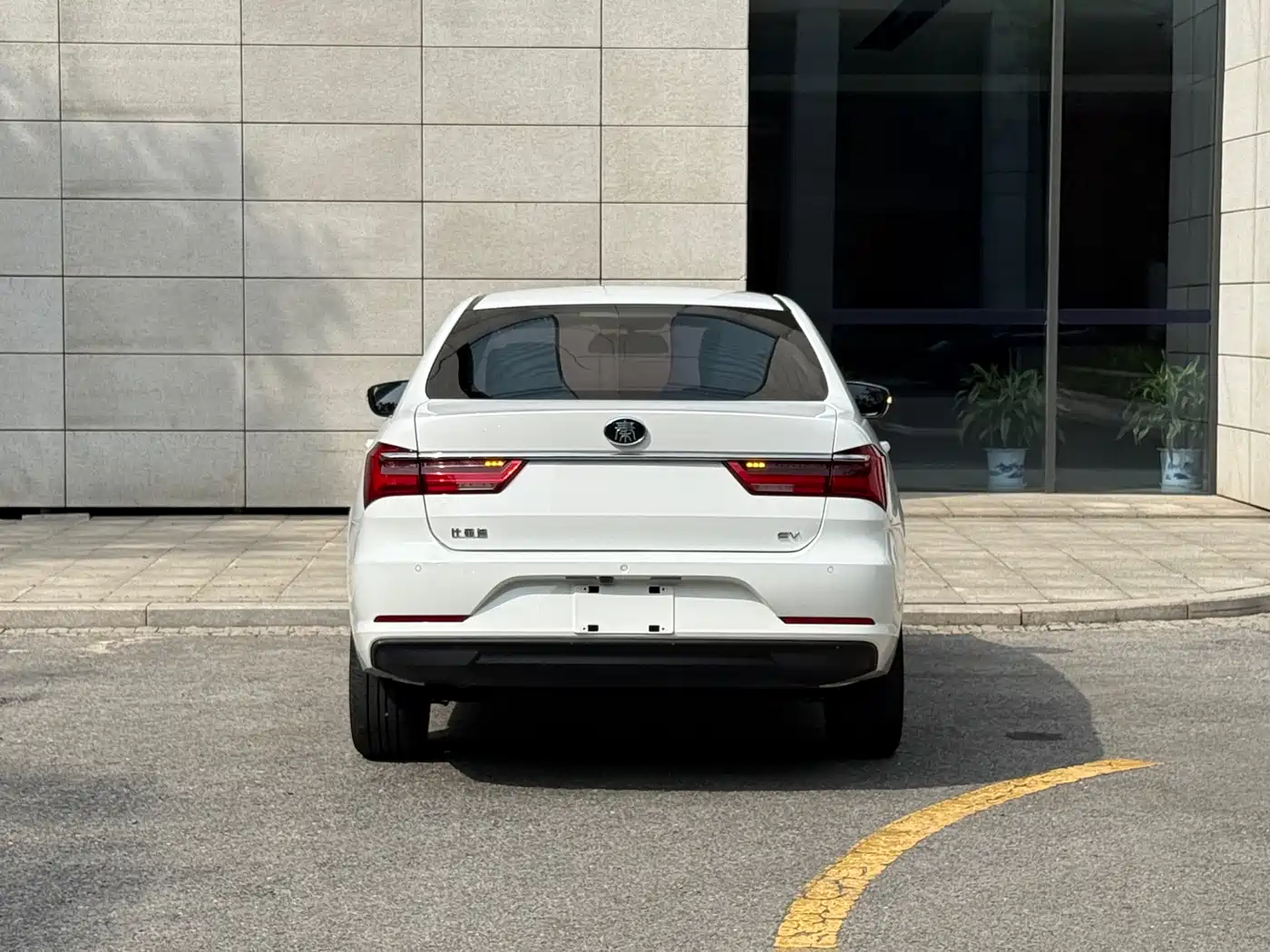 BYD Qin New Energy 2019 Long Range Edition Premium фото 18