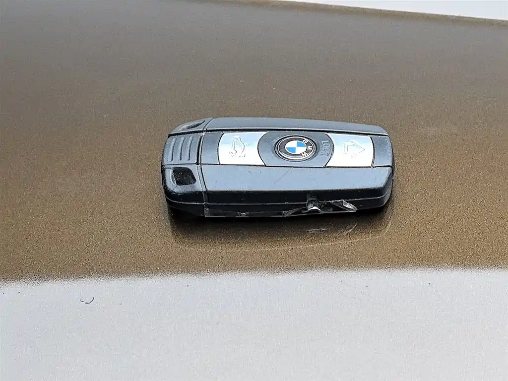 BMW X1 (Import) 2010 sDrive18i Luxury Model фото 19