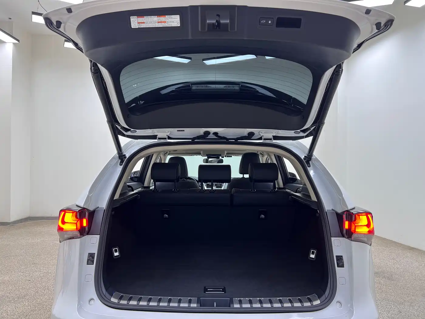 Lexus NX 2020 300h FWD F Sport China VI фото 36
