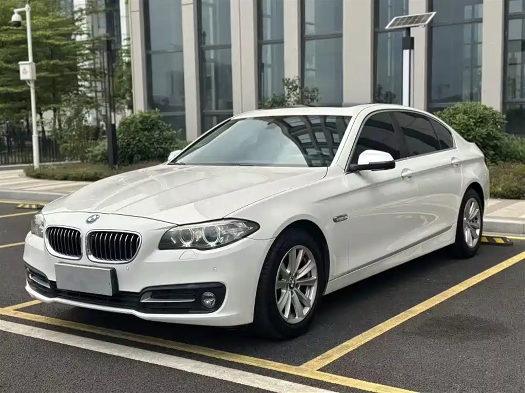 BMW 5 Series 2014 520Li Elegance фото 2