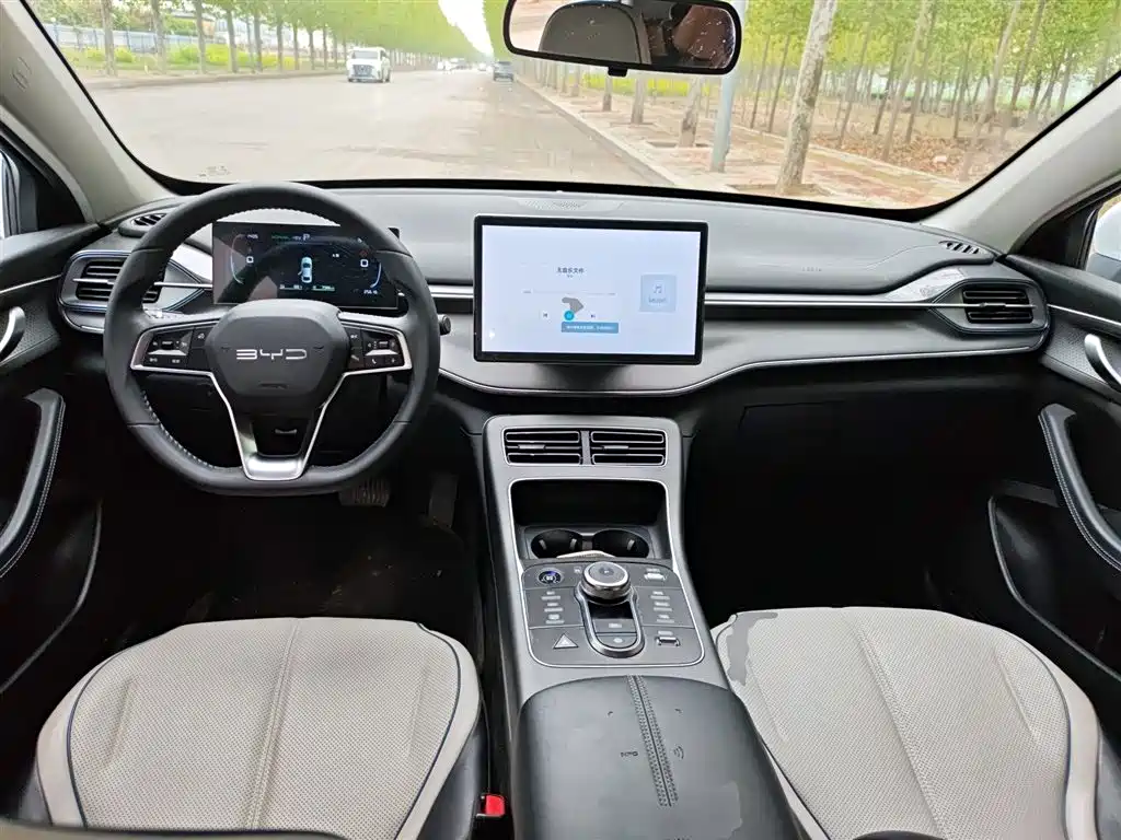 BYD Destroyer 05 2024 Glory Edition DM-i 55KM Luxury фото 6